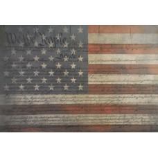 We the People Flag on White 12